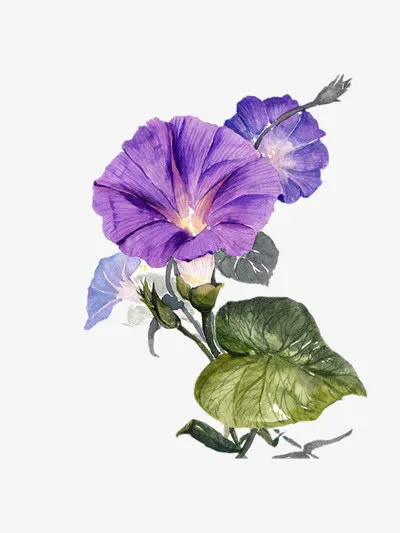 绘画免抠
