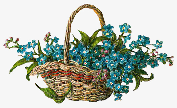 复古花卉植物图谱免抠