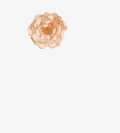 花瓣花苞中国风素材漂浮古风素材免抠