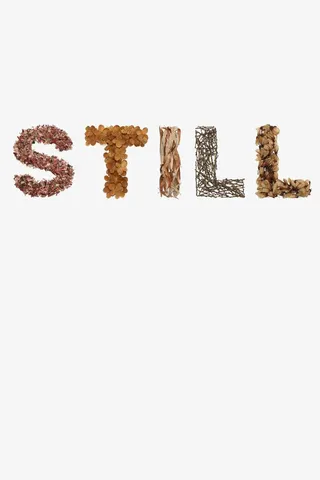 安静英文艺术字免抠