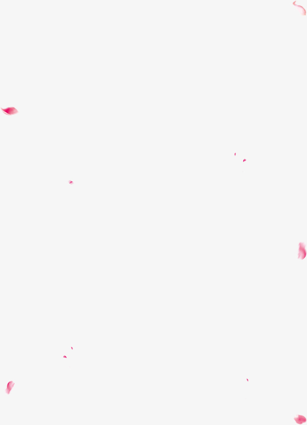 花瓣漂浮免抠