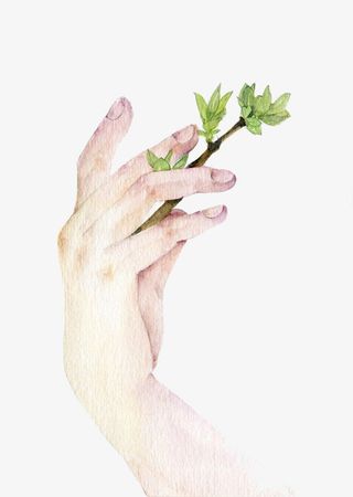 插画纤细的手免抠