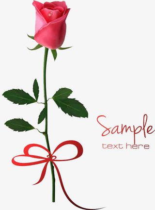 真情表白玫瑰花免抠