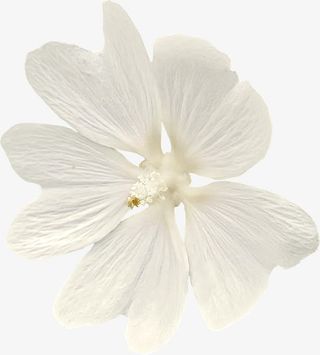 质感纹理质感纹理图片免抠