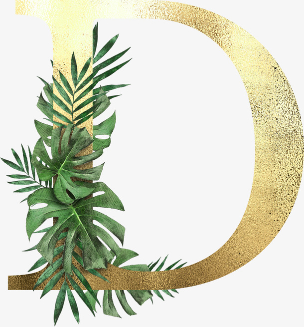 创意植物字母D免抠