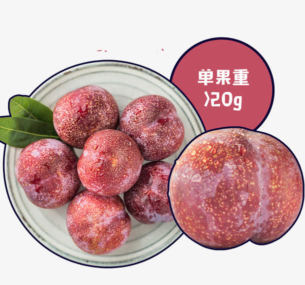 钱排三华李免抠