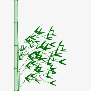 绿色竹子免抠