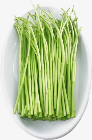 一盘去叶子的芦蒿杆免抠