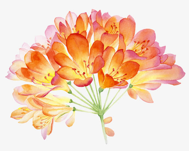 卡通黄花装饰素材免抠