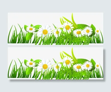 春暖花开白色花朵免抠