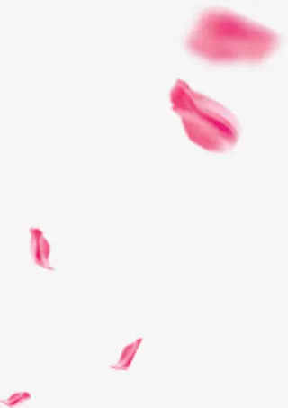 模糊粉色花瓣中秋免抠