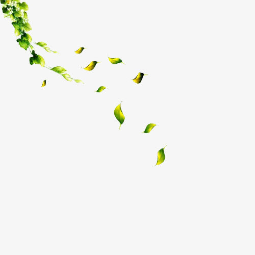 绿色飘落的树叶免抠