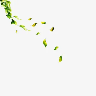绿色飘落的树叶免抠