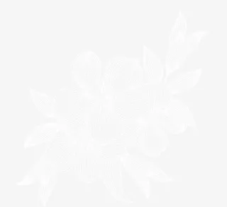 手绘白色线稿花卉叶子免抠