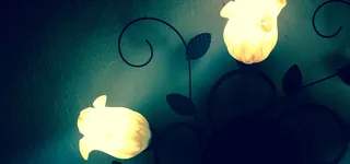 摄影素材图片高清