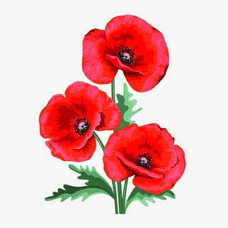 红色花束手绘插画免抠