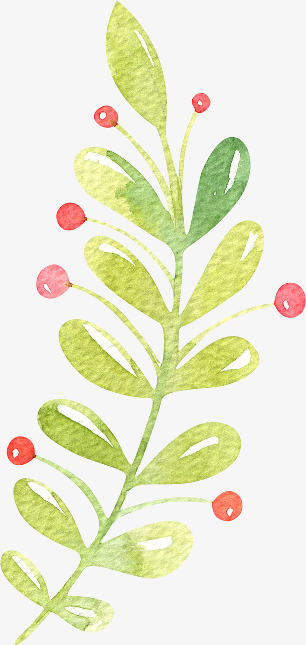 手绘水彩植物png免抠