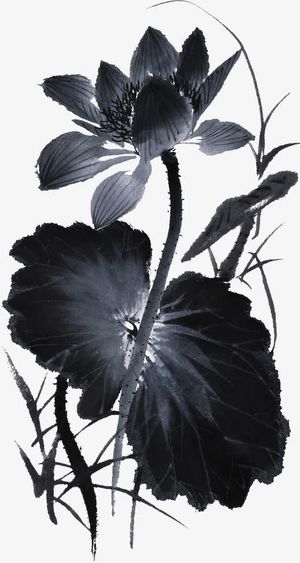 水墨荷花免抠