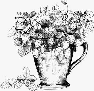 手绘钢笔画草莓免抠