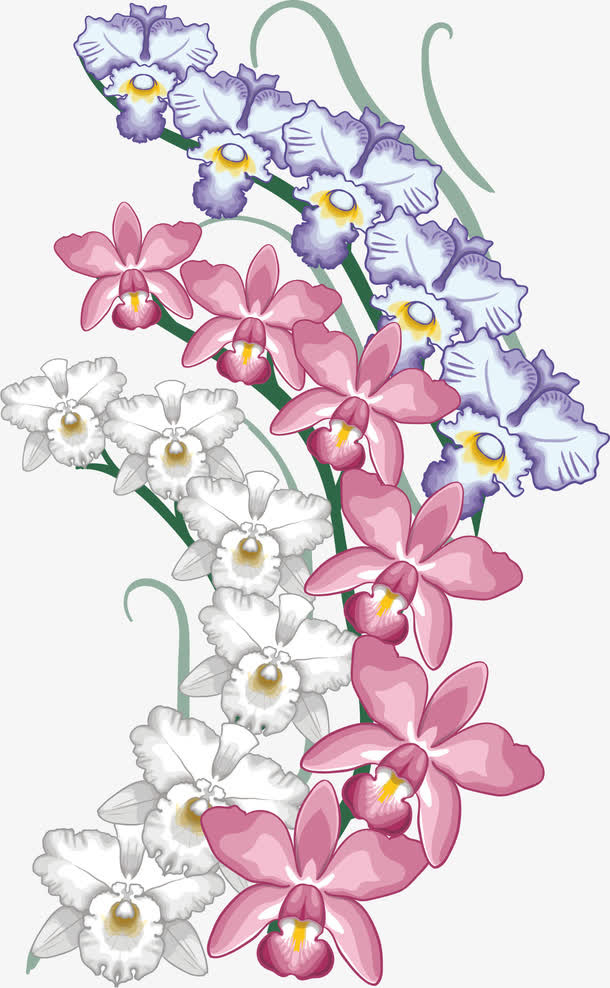 矢量鸢尾花免抠