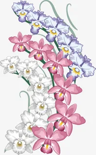 矢量鸢尾花免抠