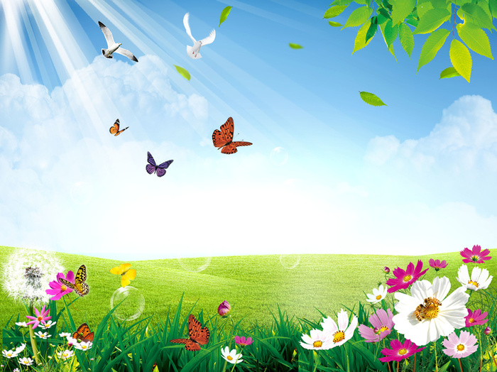 春季海报背景素材高清