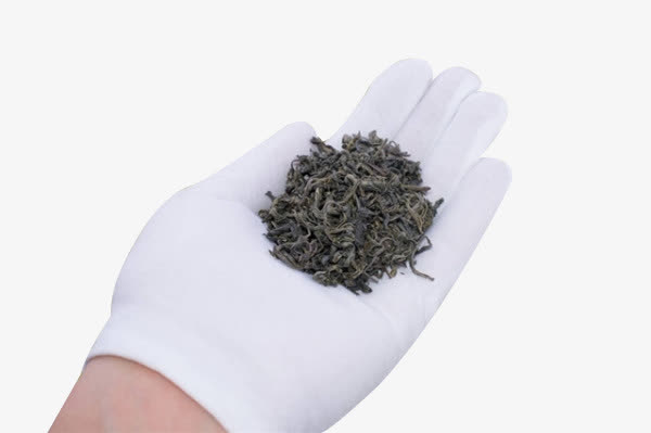 手带白手套拿着绿茶叶免抠