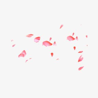 散落唯美粉色花瓣素材免抠