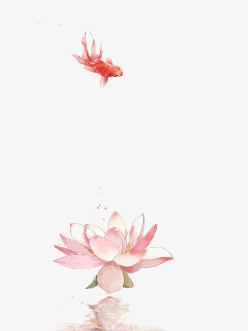 素雅荷花鲤鱼图免抠