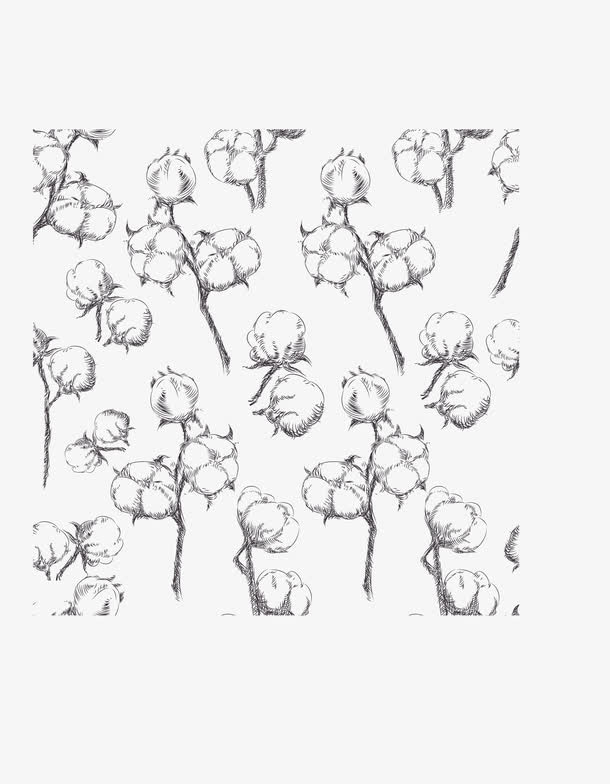 棉花背景素材
