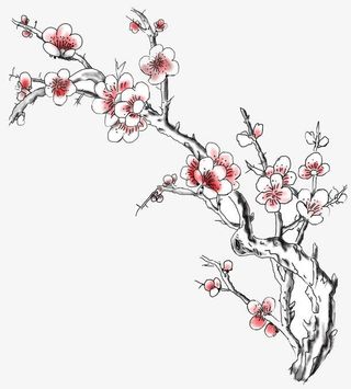 梅花png免抠图片免抠