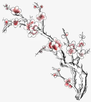 梅花png免抠图片免抠