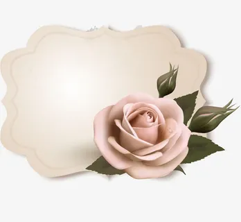 怀旧复古唯美玫瑰花边框免抠