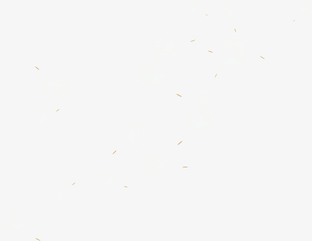 卡通灰色蒲公英免抠