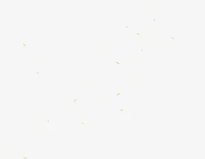 卡通灰色蒲公英免抠