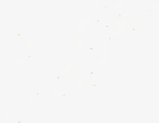 卡通灰色蒲公英免抠