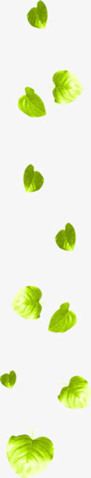 树叶绿叶漂浮树叶免抠