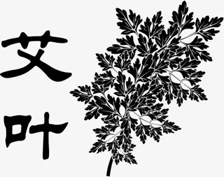 艾叶手绘黑白药材免抠