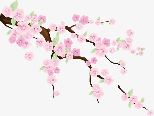 梅花免抠