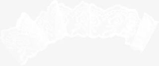 蕾丝素材图片免抠