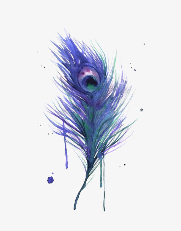 紫色孔雀羽毛免抠