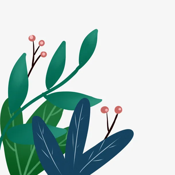 插画叶子元素免抠