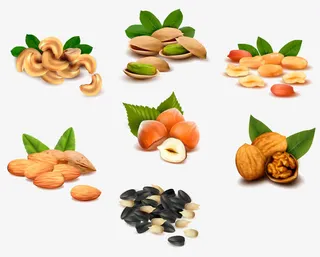 干果合集免抠