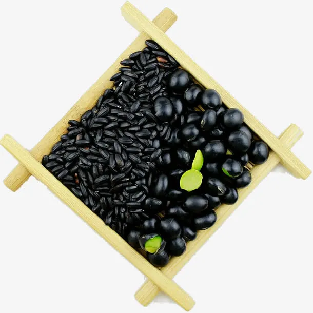 黑豆PNG素材免抠