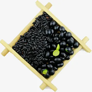 黑豆PNG素材免抠