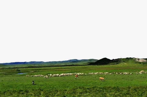 呼伦贝尔大草原免抠