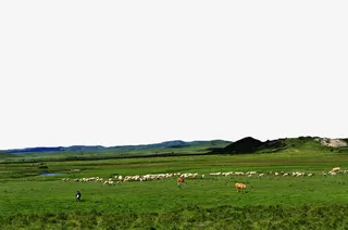 呼伦贝尔大草原免抠