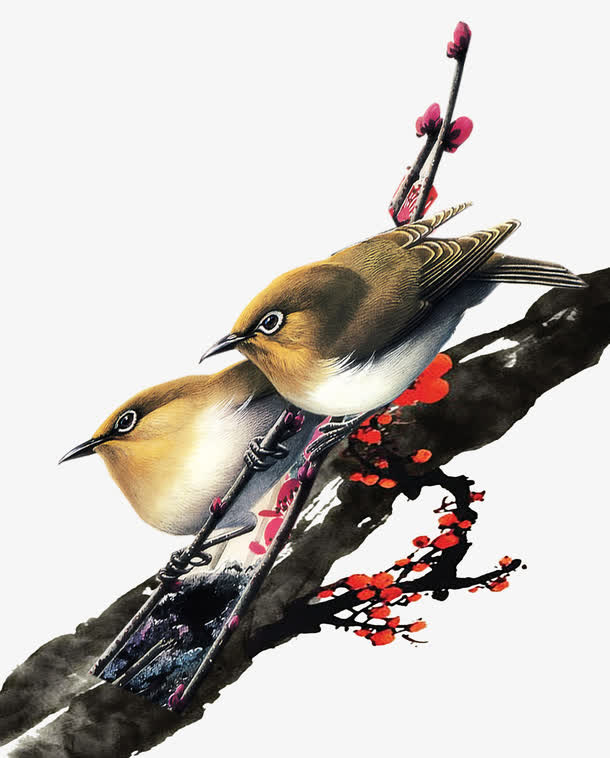 古风树枝小鸟免抠