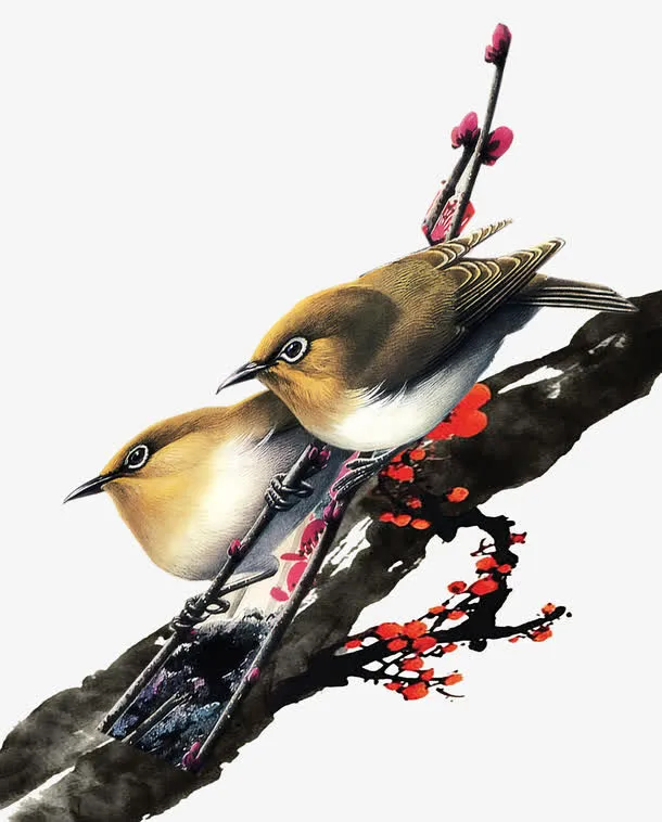 古风树枝小鸟免抠