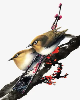 古风树枝小鸟免抠
